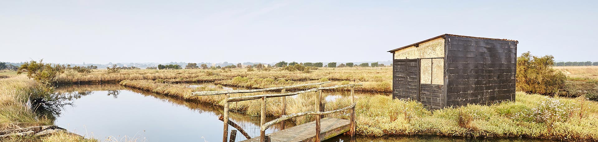 marais de Brem